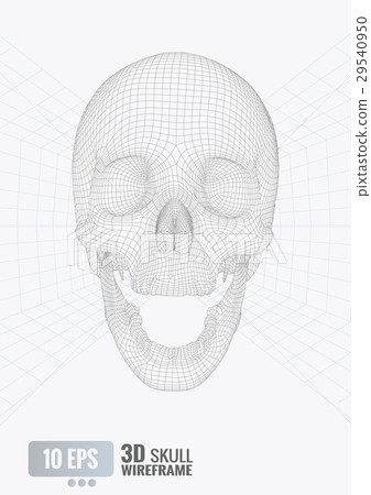3D wireframe skull front view on white  BG 29540950