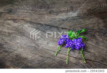 violets and purple flowers on old wooden table 29541943