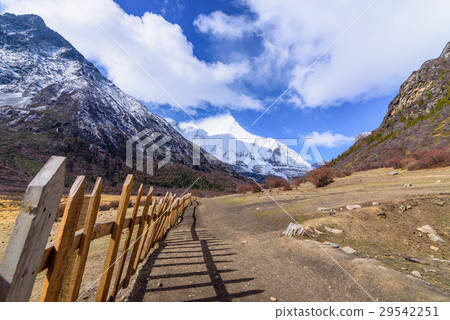 Wooden fence or wooden wall for yak farm Wooden fence or wooden wall for yak farm 29542251