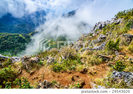 Sharp of rock of Chiang Dao Mountain ; Chiang Mai. Sharp of rock of Chiang Dao Mountain ; Chiang Mai. 29543020