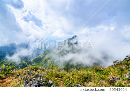 Sharp of rock of Chiang Dao Mountain ; Chiang Mai. Sharp of rock of Chiang Dao Mountain ; Chiang Mai. 29543024
