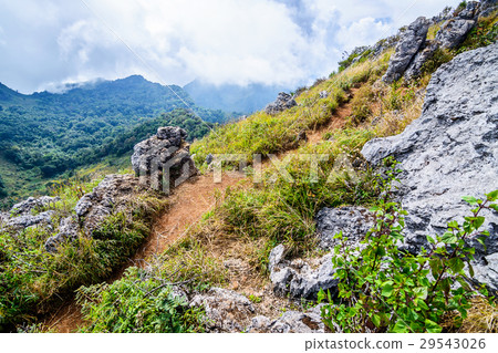 Sharp of rock of Chiang Dao Mountain ; Chiang Mai. Sharp of rock of Chiang Dao Mountain ; Chiang Mai. 29543026