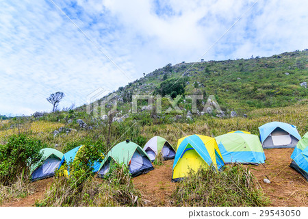 Mountain landscape with tourist tents on hill. 29543050