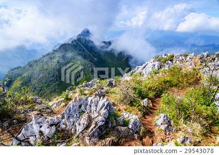 Sharp of rock of Chiang Dao Mountain ; Chiang Mai. Sharp of rock of Chiang Dao Mountain ; Chiang Mai. 29543078