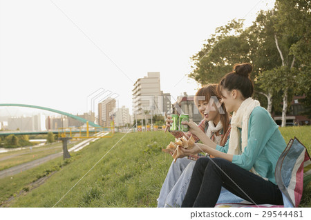 A picnic 29544481