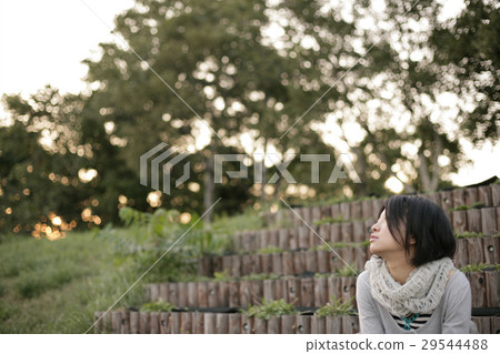 年輕的女士 29544488