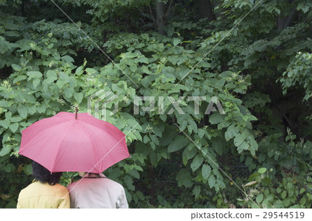 An umbrella An umbrella 29544519