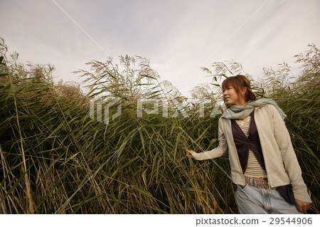 A woman in the steppe A woman in the steppe 29544906
