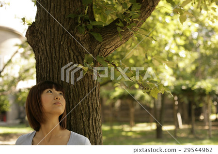 A woman leaning on a tree 29544962