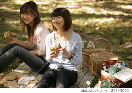 A picnic 29545003
