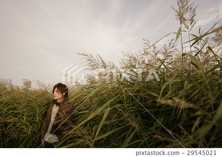 一個人在草地上 一個人在草地上 29545021