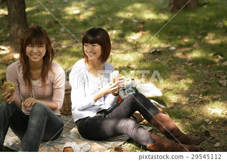 A picnic 29545112