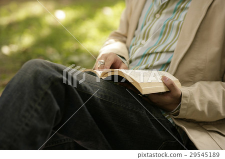 Reading 29545189