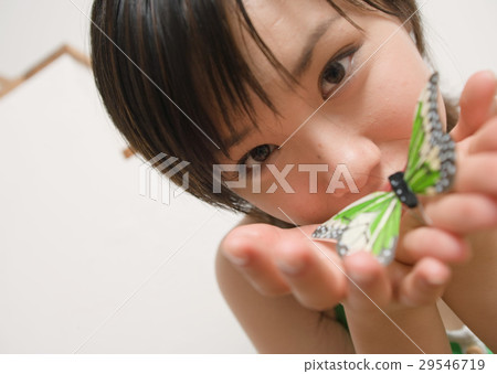 Butterfly toys and women 29546719