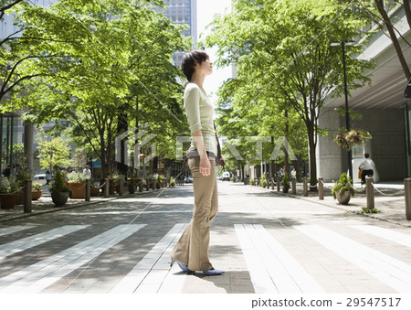 穿過行人穿越道的一位小姐 29547517