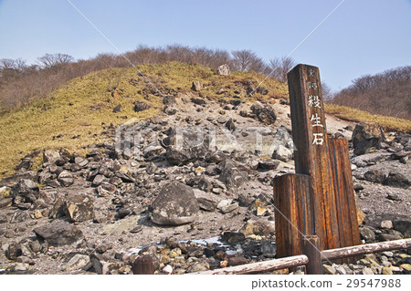 Nasu Onsen biocidal stone 29547988