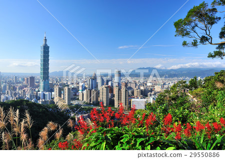 城市,市區,都市,建築物,高樓,大廈,101大樓,天際線 城市,市區,都市,建築物,高樓,大廈,101大樓,天際線 29550886