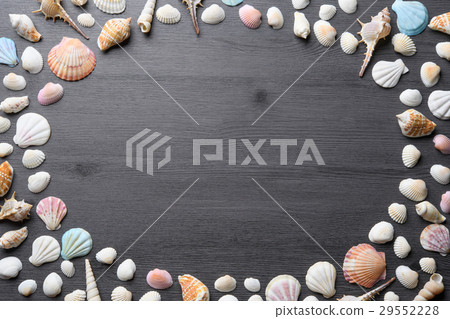 sea-shell, shell, seashell 29552228