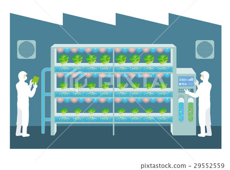 Plant factory image 29552559