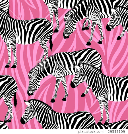 Zebra on abstract pink background. - Stock Illustration [29553109] - PIXTA