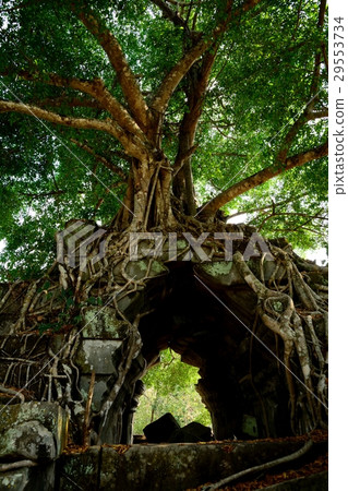 Ben Melia ruins 29553734