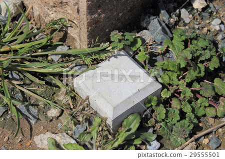 標籤樁 標籤樁 29555501