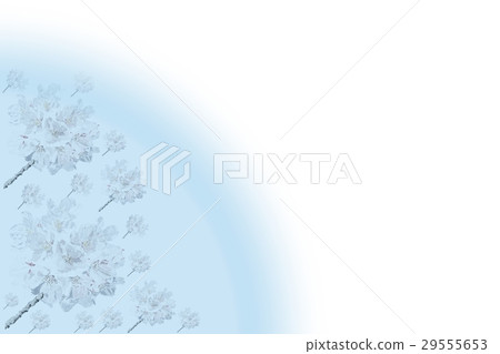 Cherry blossom light blue Cherry blossom light blue 29555653