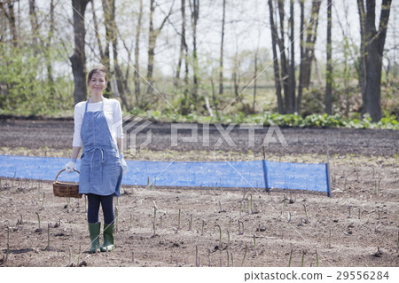 阿斯帕拉農民 29556284