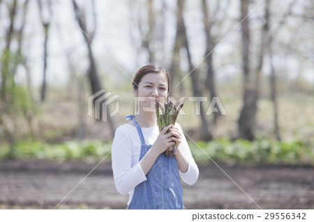 阿斯帕拉農民 29556342