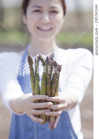 阿斯帕拉農民 29556344