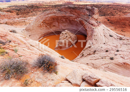 Utah landscapes 29556516