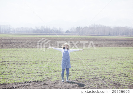 農業婦女 29556605