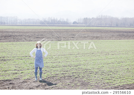 農業婦女 29556610
