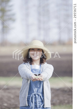 家庭菜園大豆 29556711