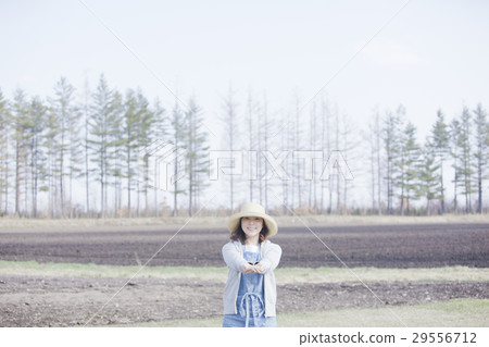 家庭菜園大豆 29556712