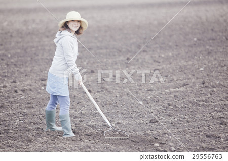 農業女孩 29556763