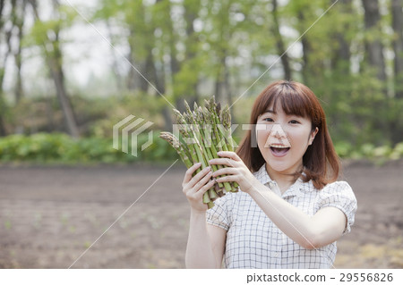 Asparagus and female Asparagus and female 29556826