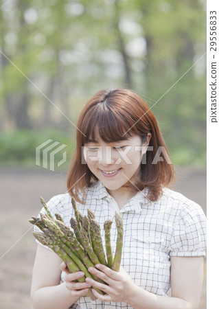 蘆筍和雌性 29556833