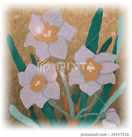 Narcissus Narcissus 29557018