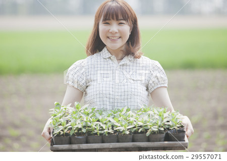 農業女孩 29557071