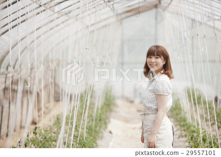 Agriculture girls Agriculture girls 29557101