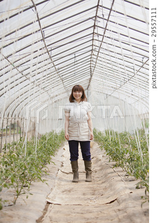 Agriculture girls Agriculture girls 29557111