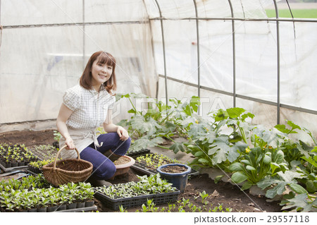 Agriculture girls 29557118