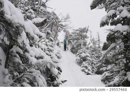 Yatsugatake在冬天“Kita-Yokodake / Mt. Mt. Mt.”Snowscape 29557468