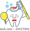 Cartoon Tooth With Toothpaste And Mirror 29557902