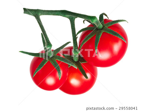 Cherry ciliegini pachino tomatoes cluster, paths Cherry ciliegini pachino tomatoes cluster, paths 29558041