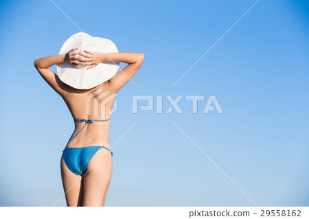 woman wear bikini woman wear bikini 29558162