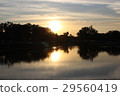夕陽 29560419