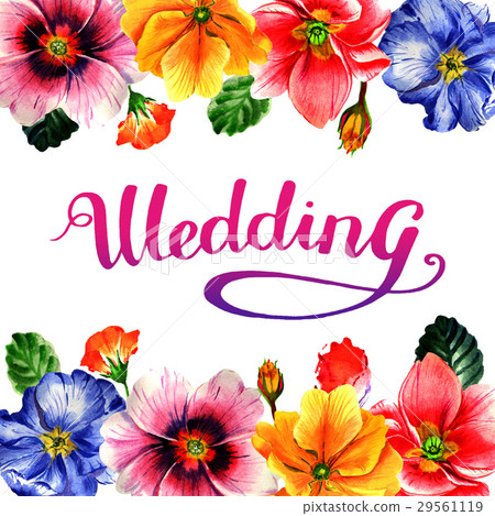 Wildflower Primrose flower frame in a watercolor 29561119