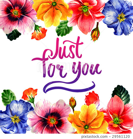 Wildflower Primrose flower frame in a watercolor Wildflower Primrose flower frame in a watercolor 29561120